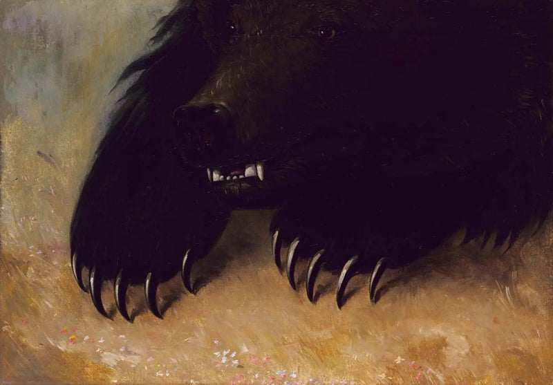 Waffen und Physiognomie des Grizzlybären - George Catlin