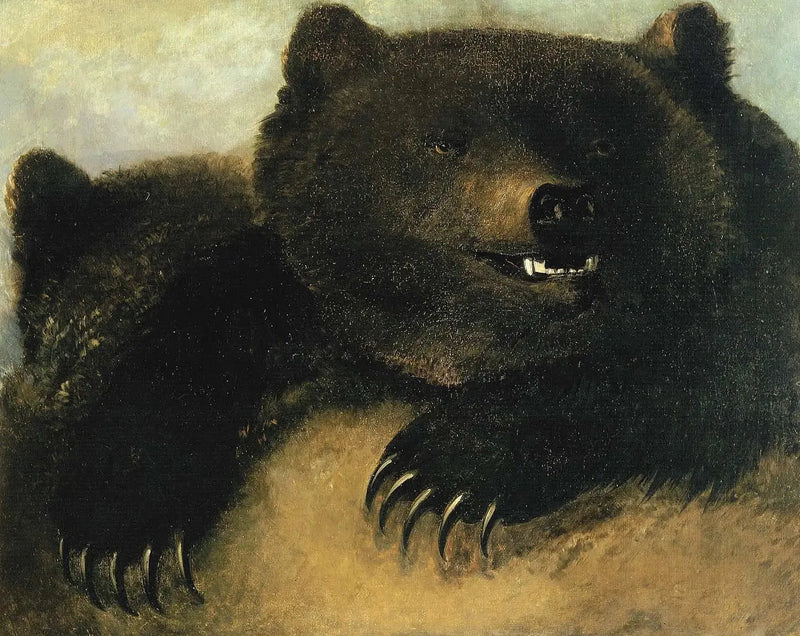 Waffen und Physiognomie des Grizzlybären - George Catlin