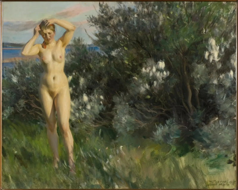 Am Ufer des Siljan-Sees - Anders Zorn