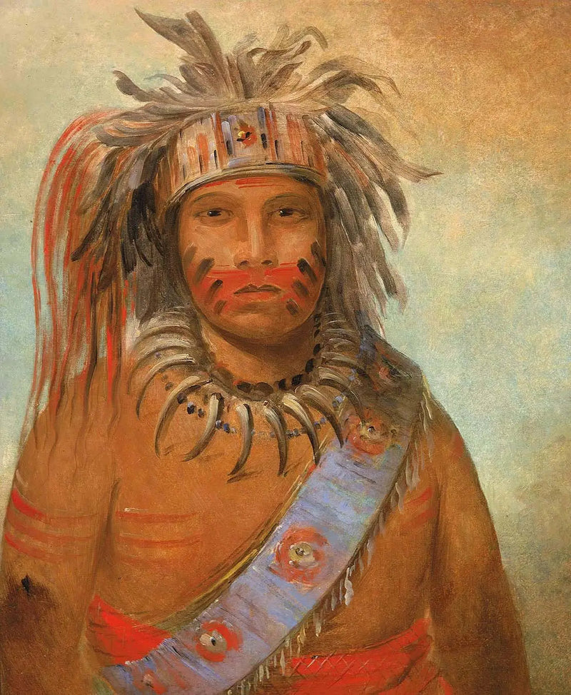 Au-nim-muck-kwa-um, Sturmvogel - George Catlin