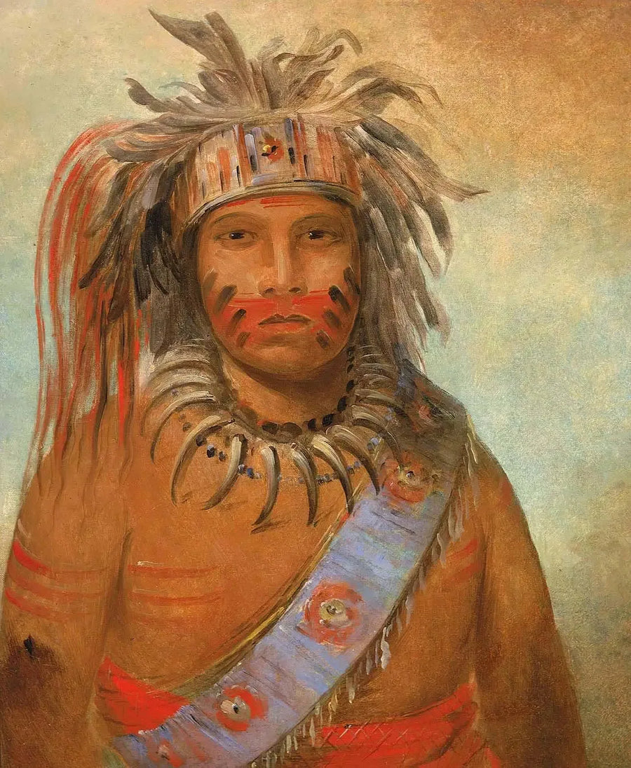 Au-nim-muck-kwa-um, Sturmvogel - George Catlin
