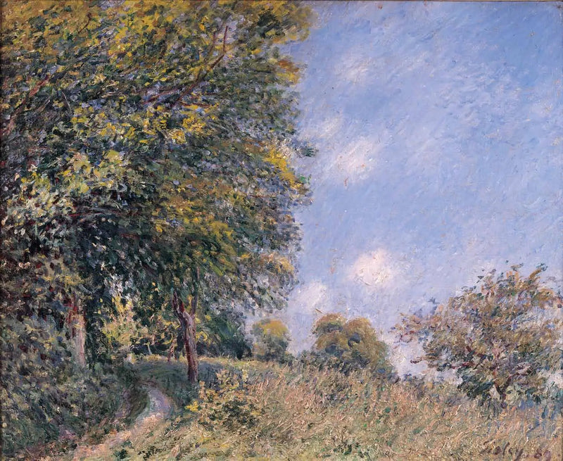 Rund um den Wald, Morgen im Juli - Alfred Sisley