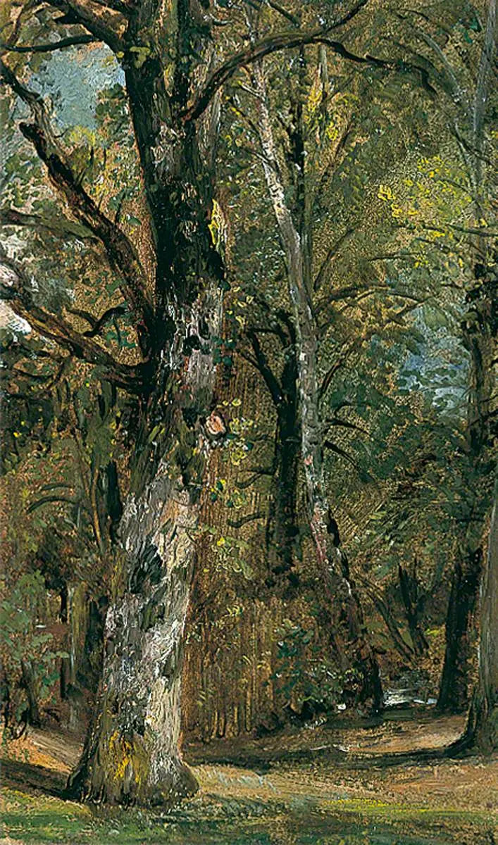 Avenue der Bäume - John Constable