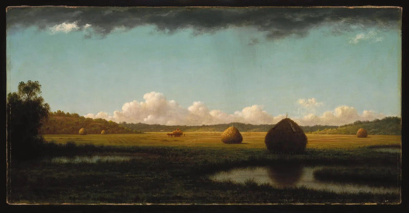 Sommeransichten - Martin Johnson Heade