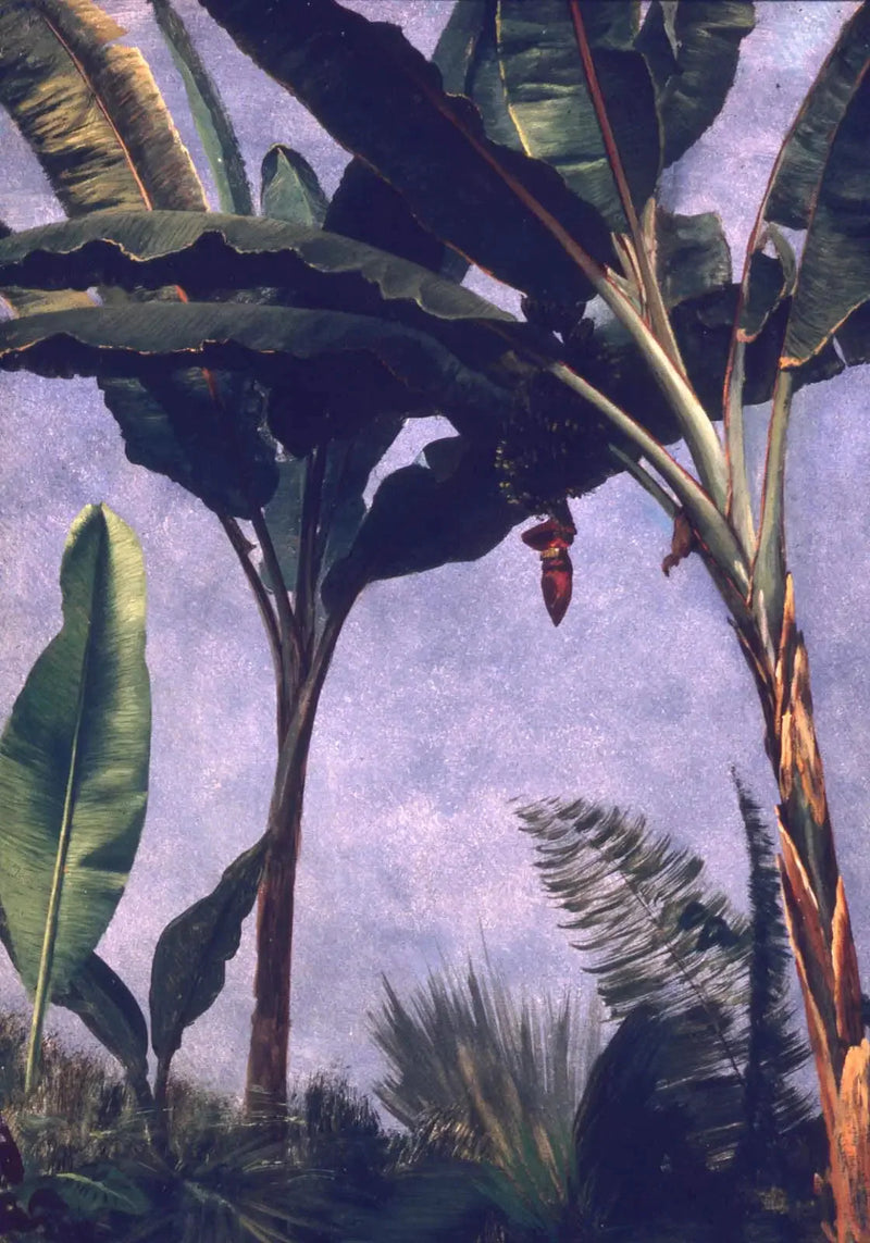 Bananenbäume - Albert Bierstadt