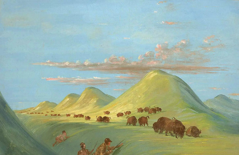 Batiste, Bogard und ich, die sich Buffalo am Missouri nähern - George Catlin
