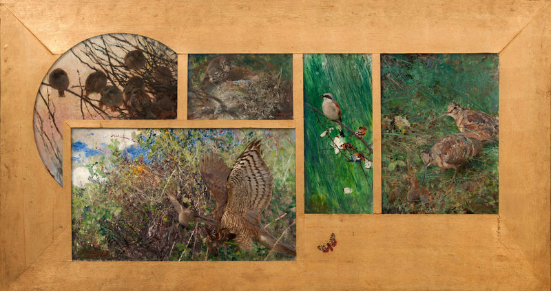 Waldschnepfe, Rotrückenwürger, Drossel im Nest, Sperber, Haussperlinge - Bruno Liljefors
