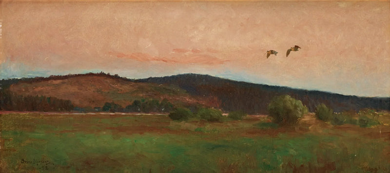 Waldschnepfen im Flug - Bruno Liljefors
