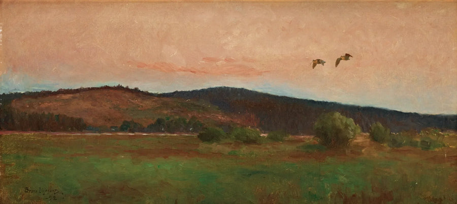 Waldschnepfen im Flug - Bruno Liljefors