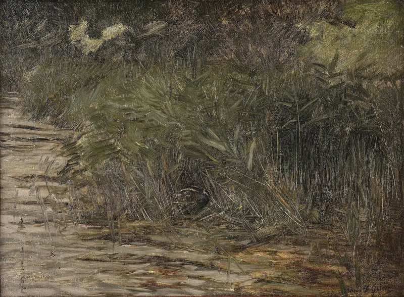 Waldschnepfe im Schilf - Bruno Liljefors
