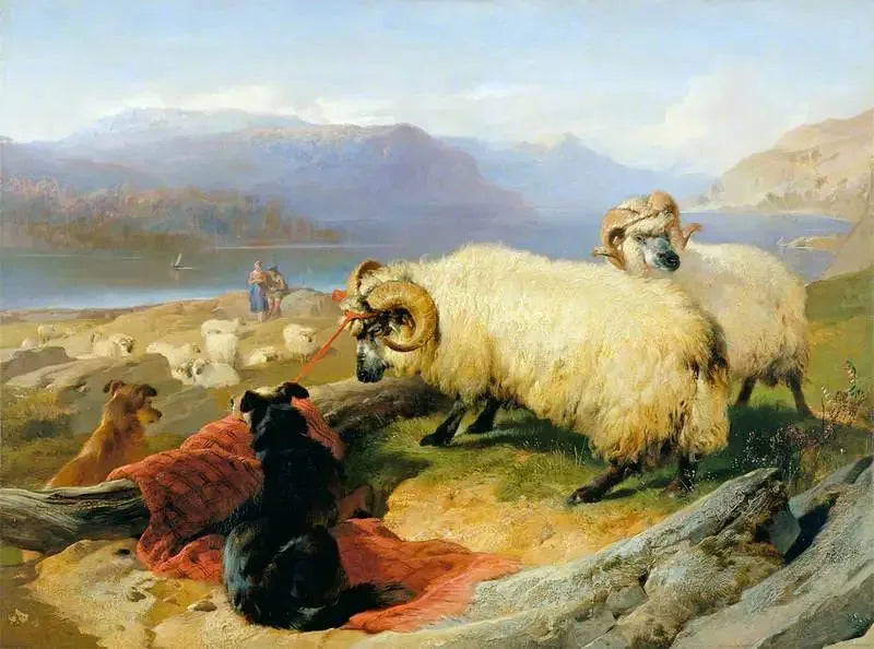 Béliers attachés - Edwin Henry Landseer image 1 reproduction réalisée par Alpha Reproduction