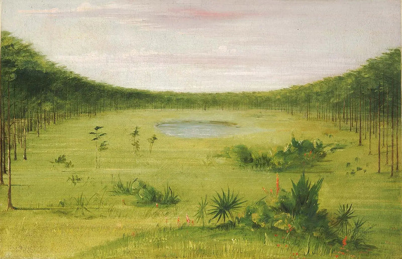 Schöne Savanne in den Pinienwäldern Floridas - George Catlin