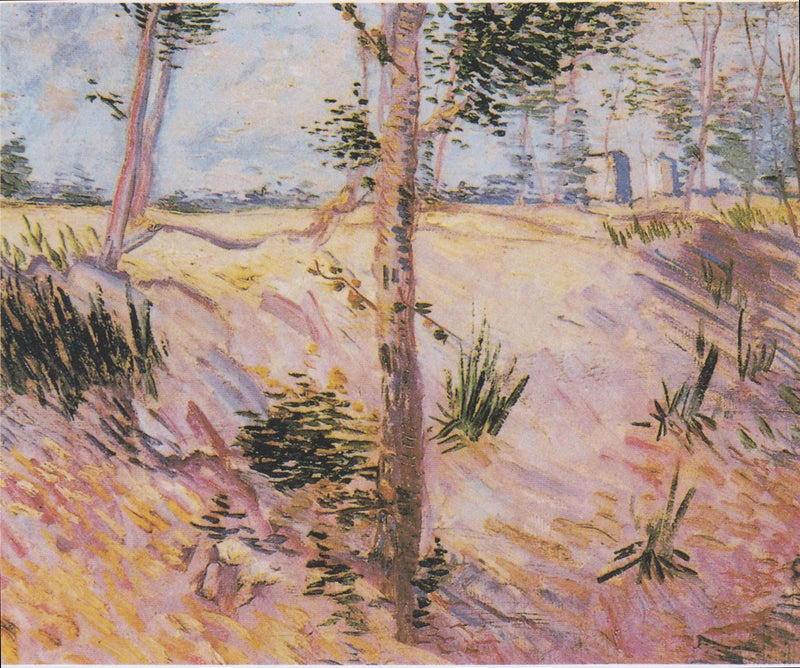 Bäume an einem Hang - Vincent van Gogh