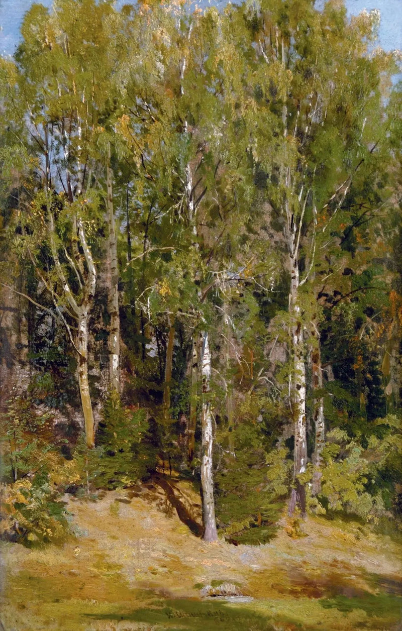 Birkenhain - Ivan Chichkine