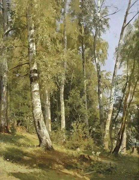 Birkenhain - Ivan Chichkine