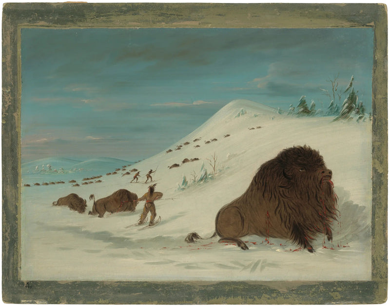 Bison, die in die Schneeverwehungen stürzen - Sioux - George Catlin