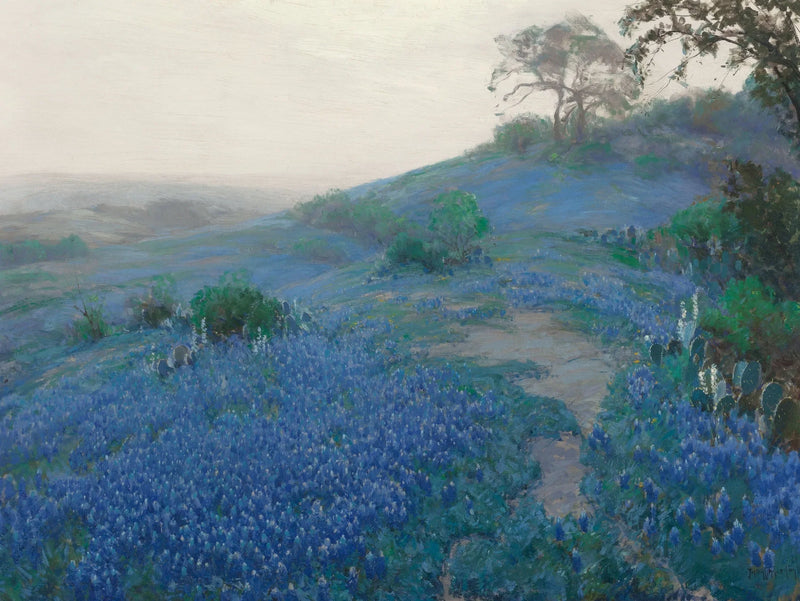 Blue Bonnet Field, früher Morgen, San Antonio, Texas - Julian Onderdonk