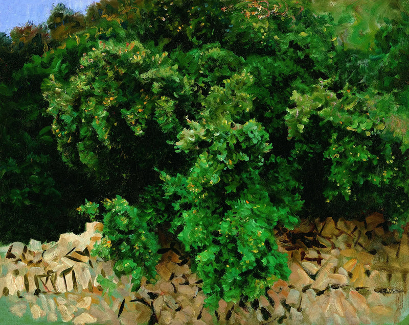 Ilexholz. Mallorca - John Singer Sargent