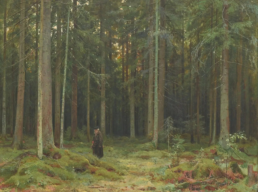 Holz der Gräfin Mordvinova. Peterhof - Ivan Chichkine