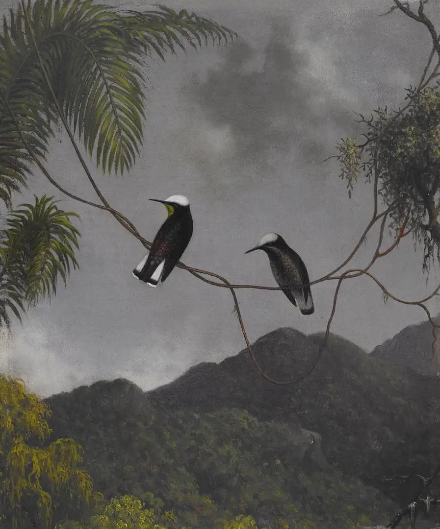 Schneekappe - Martin Johnson Heade