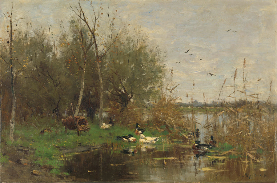 Bordure de fossé avec des canards près d'une ruche de canards - Geo Poggenbeek