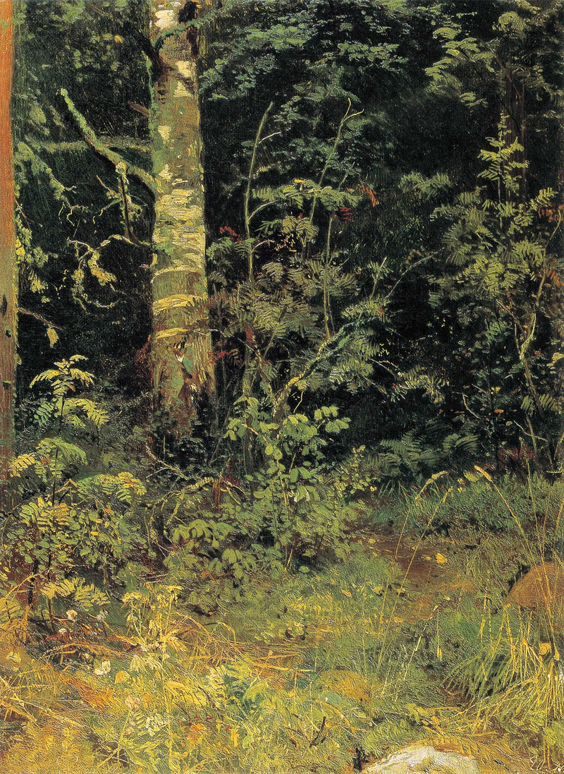 Birke und Vogelbeere - Ivan Chichkine