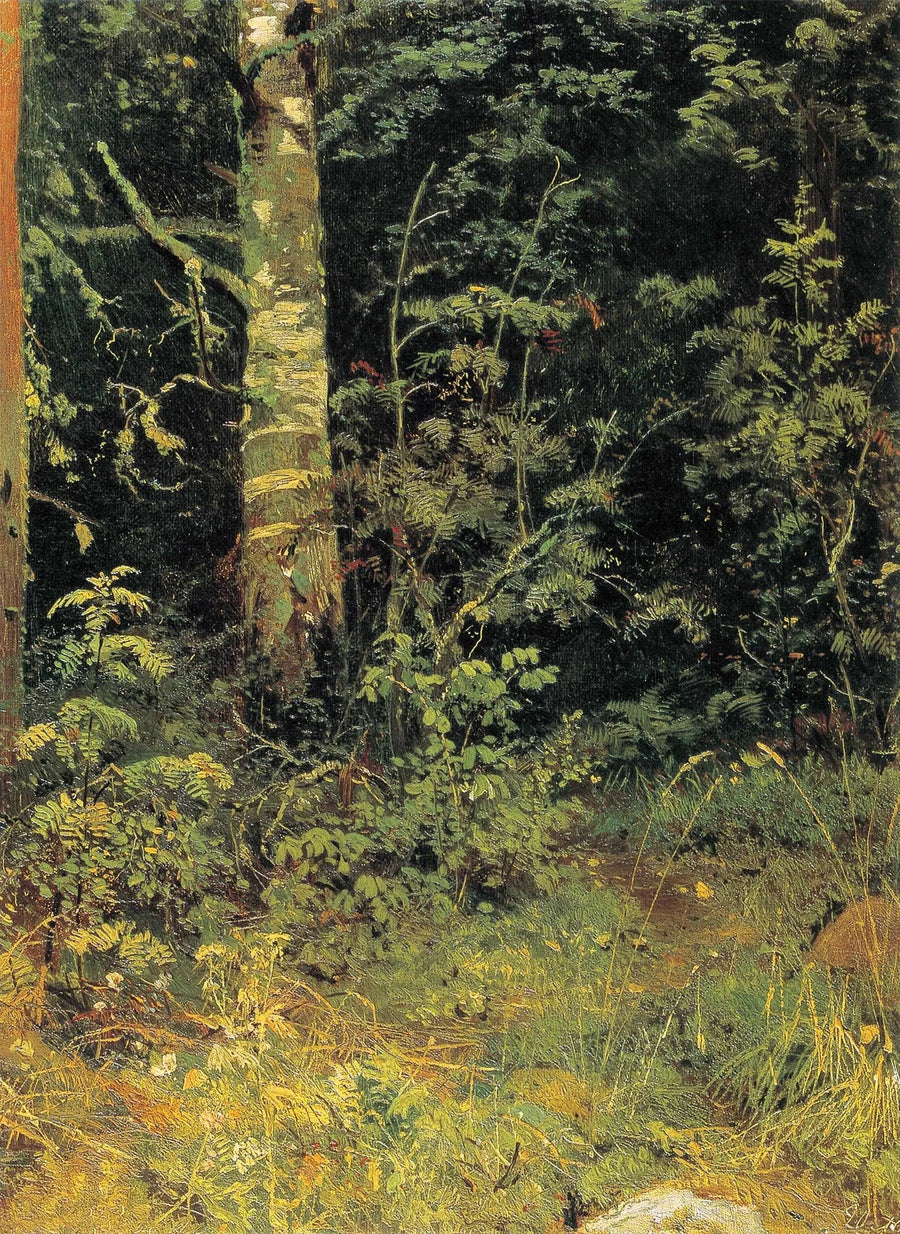 Birke und Vogelbeere - Ivan Chichkine