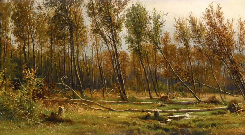 Birken nach dem Sturm - Ivan Chichkine
