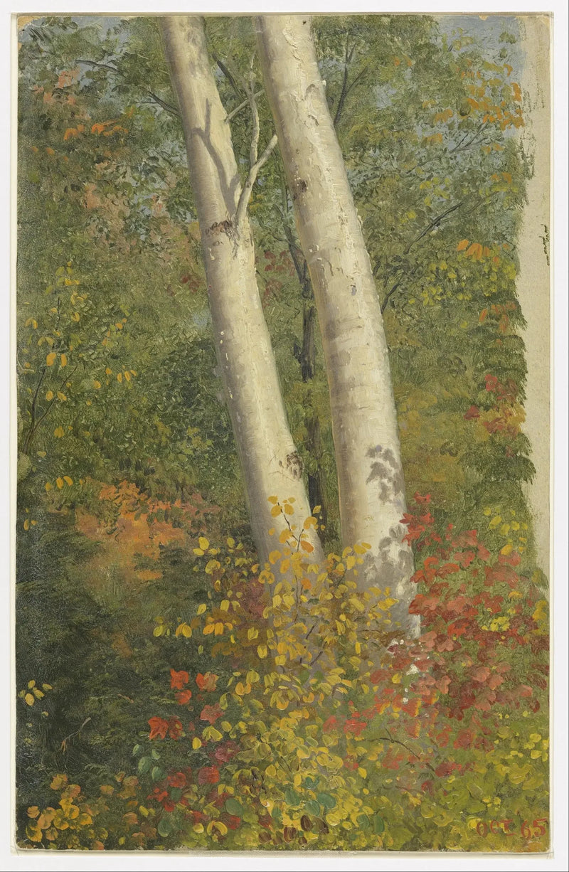 Birken im Herbst - Frederic Edwin Church