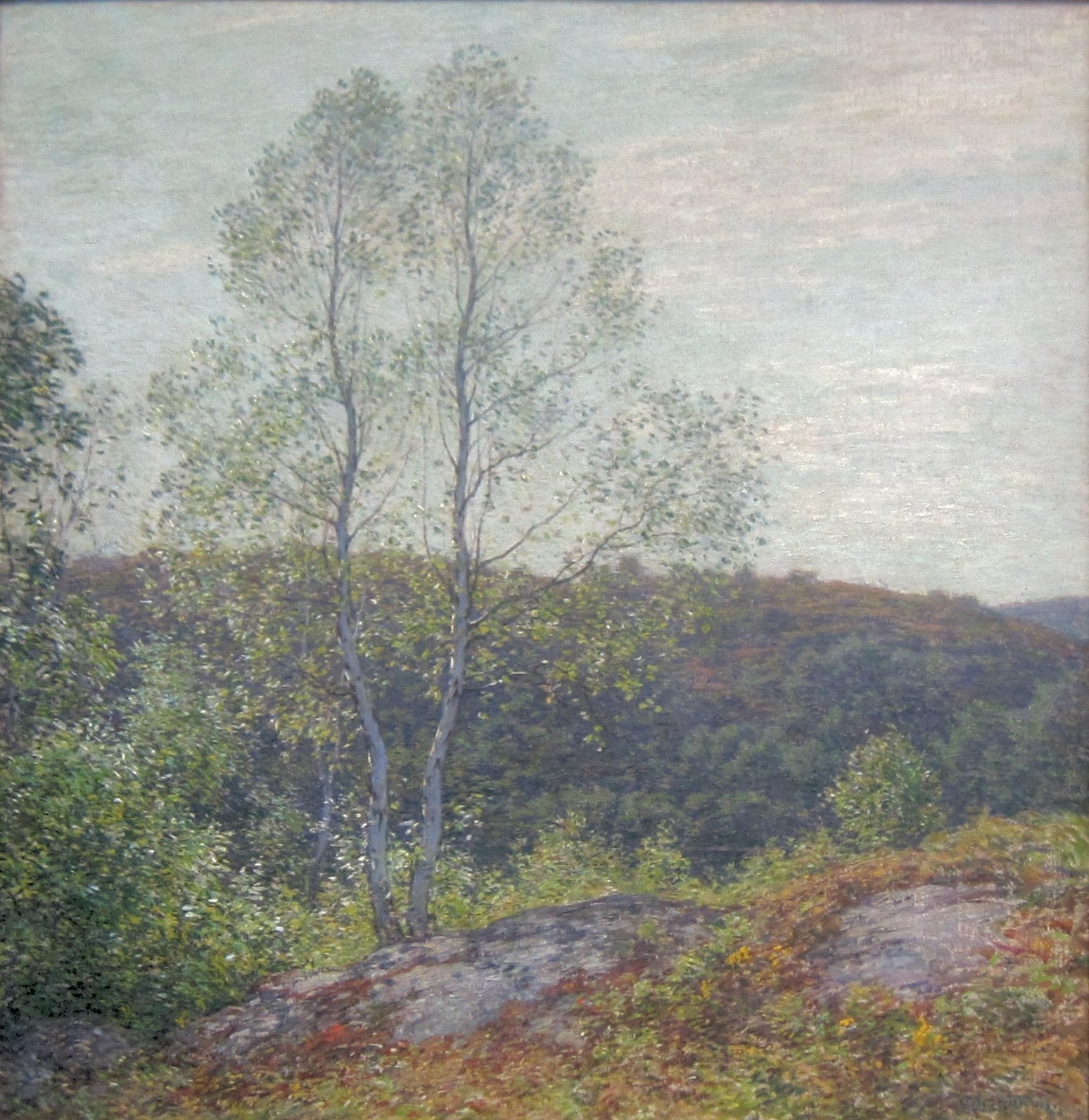 Bouleaux jumeaux - Willard Metcalf - Alpha Reproduction