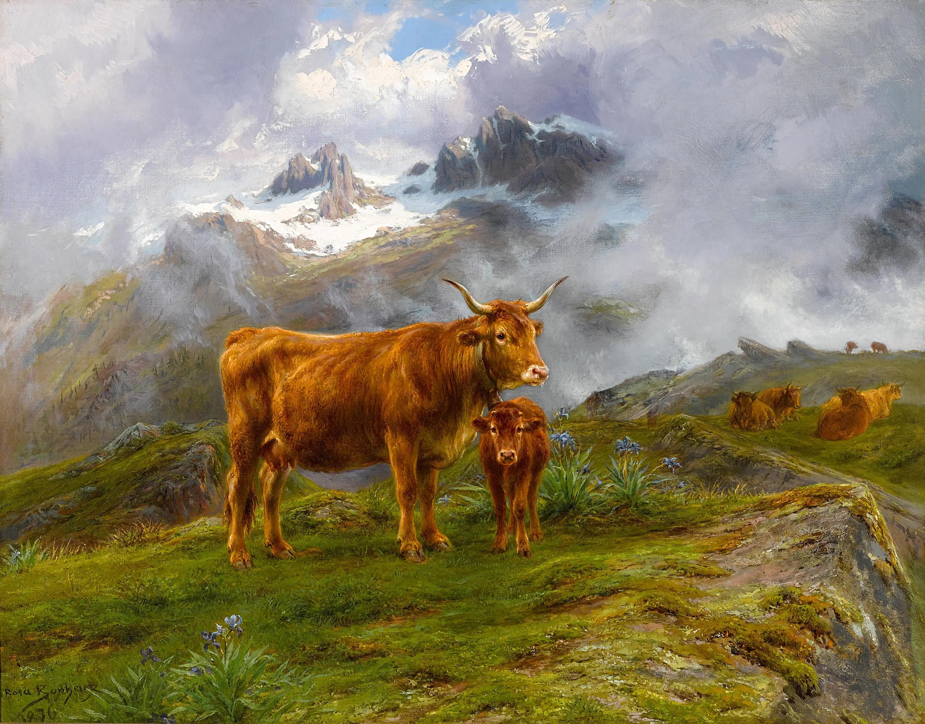 Bovins des Highlands - Rosa Bonheur - Alpha Reproduction