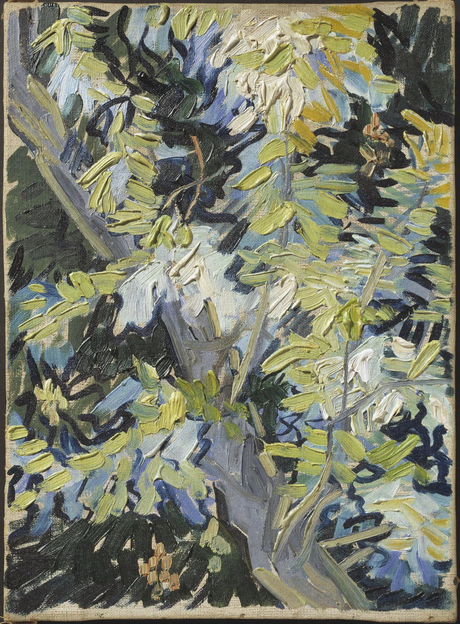 Blühende Akazienzweige - Vincent van Gogh