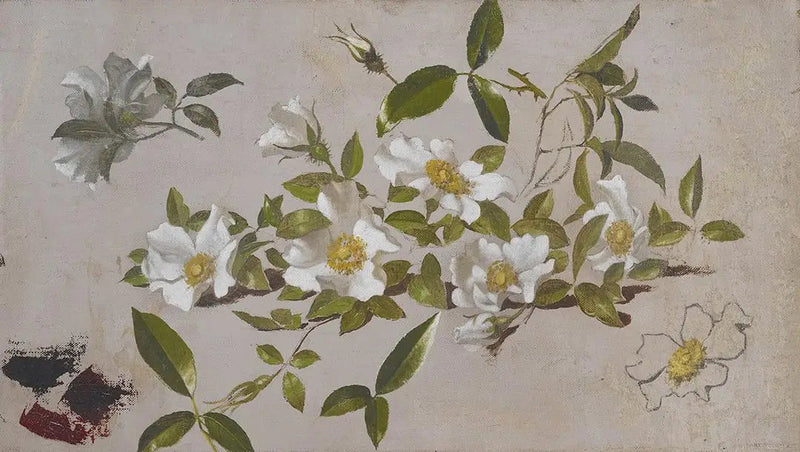 Cherokeer Rosenäste - Martin Johnson Heade