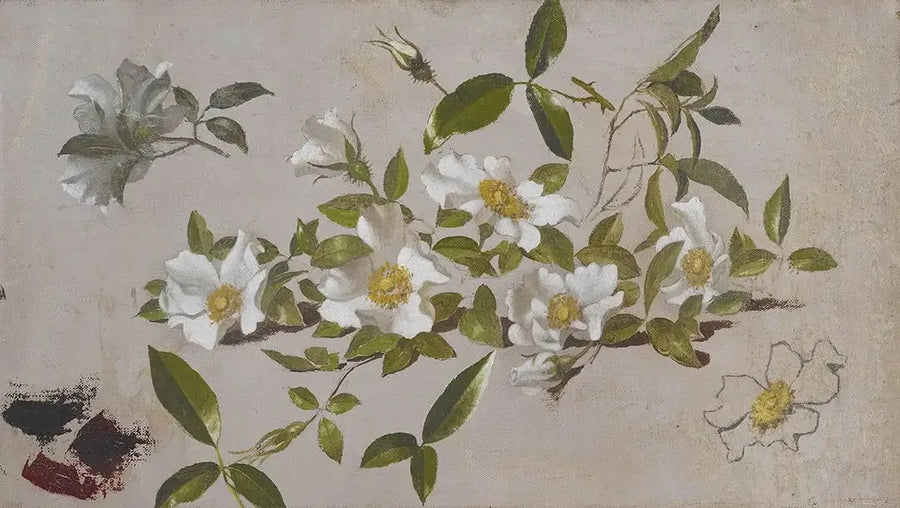 Cherokeer Rosenäste - Martin Johnson Heade