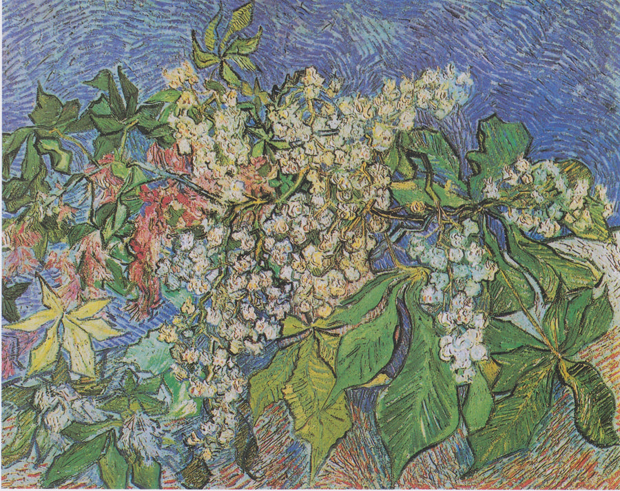 Blühende Kastanienzweige - Vincent van Gogh