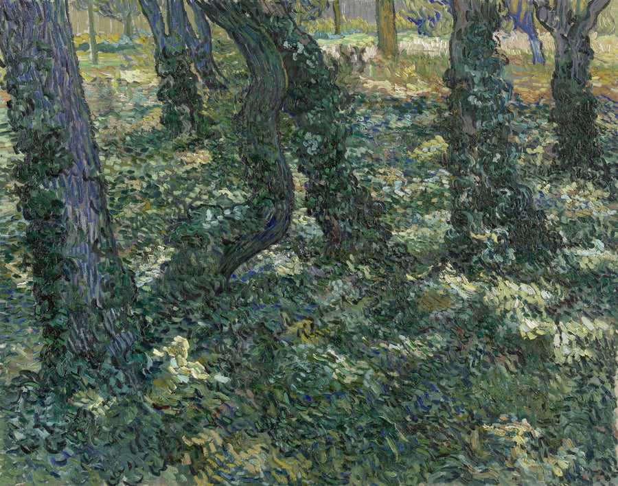 Gestrüpp - Vincent van Gogh