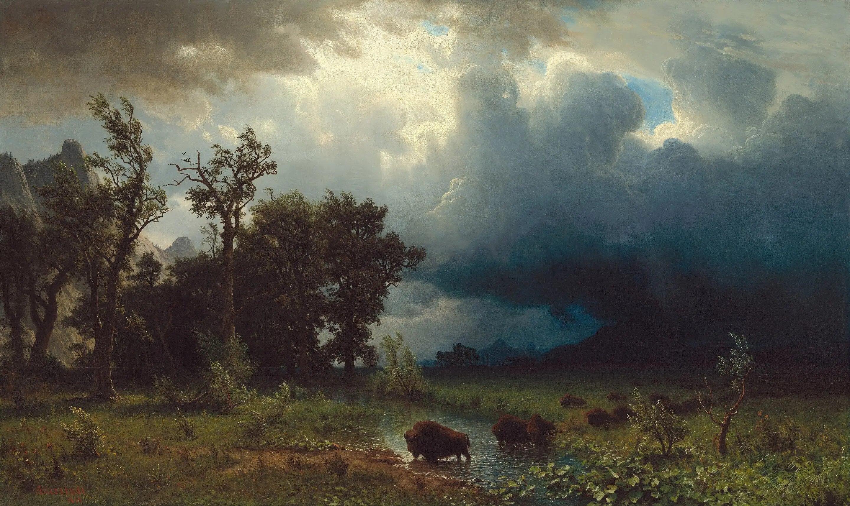 Buffalo Trail : la tempête imminente - Albert Bierstadt image 1 reproduction de peinture à l’huile