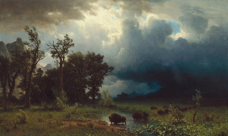 Buffalo Trail : der bevorstehende Sturm - Albert Bierstadt