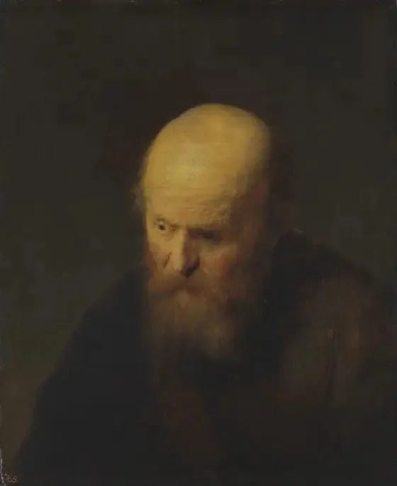 Büste eines alten Mannes mit kahlem Kopf - Rembrandt