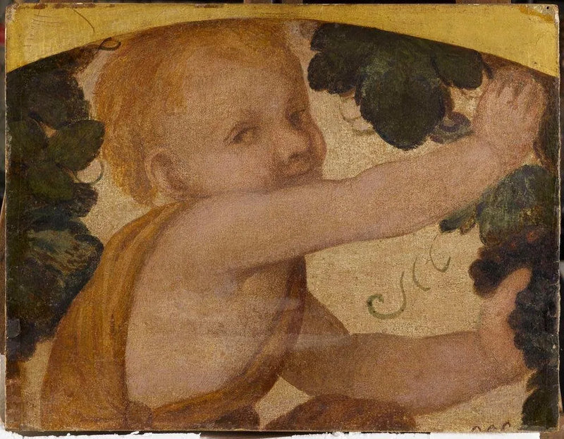 Putto-Büste in den Weinranken - Bernardino Luini