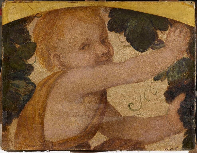 Putto-Büste in den Weinranken - Bernardino Luini