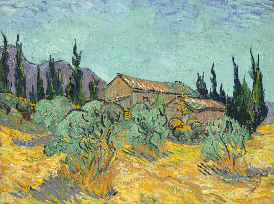 Holzhütten zwischen Olivenbäumen und Zypressen - Vincent van Gogh