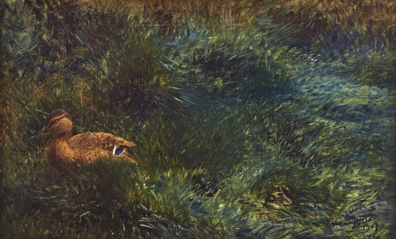 Wildente - Bruno Liljefors