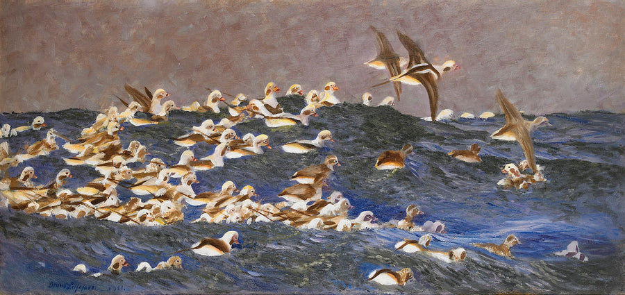 Eissturmvögel im äußeren Schärenmeer - Bruno Liljefors