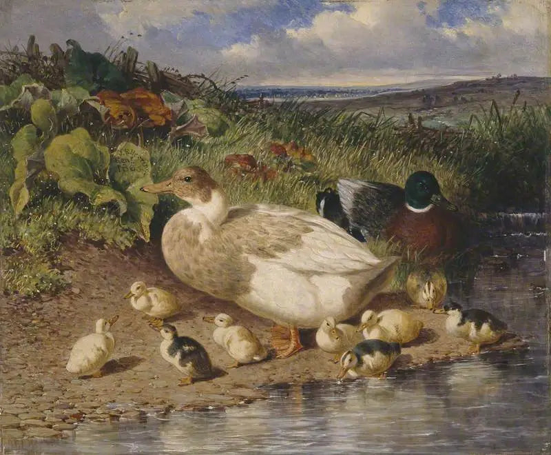 Enten am Bachufer - John Frederick Herring, Sr.