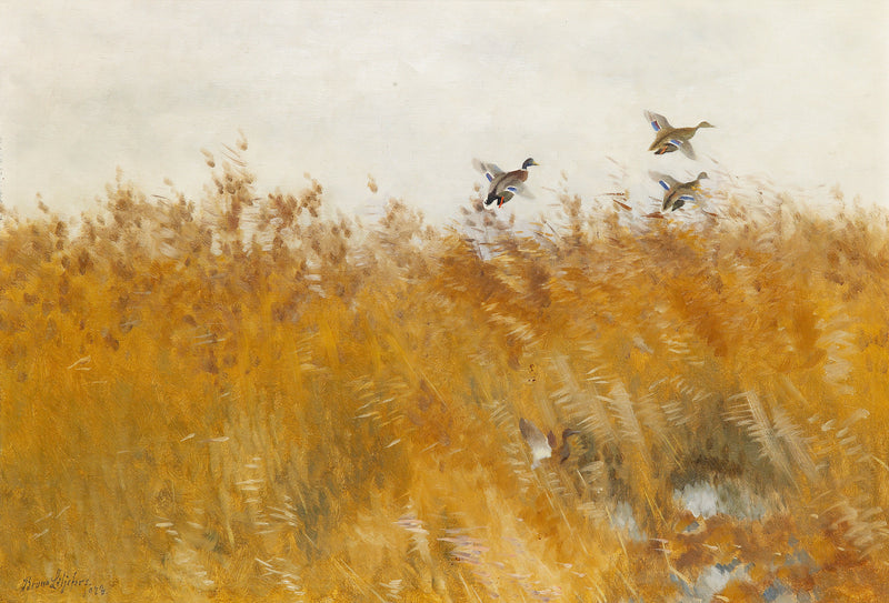 Stockenten im Abflug – Bruno Liljefors