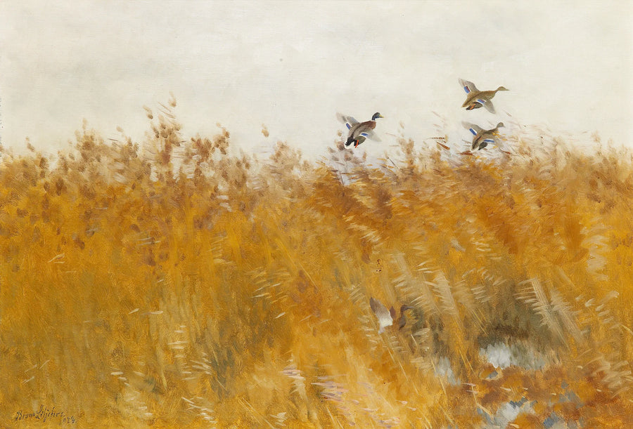 Stockenten im Abflug – Bruno Liljefors