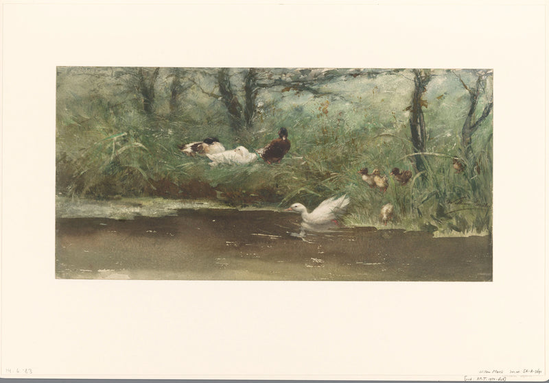 Canards du côté du fossé - Willem Maris