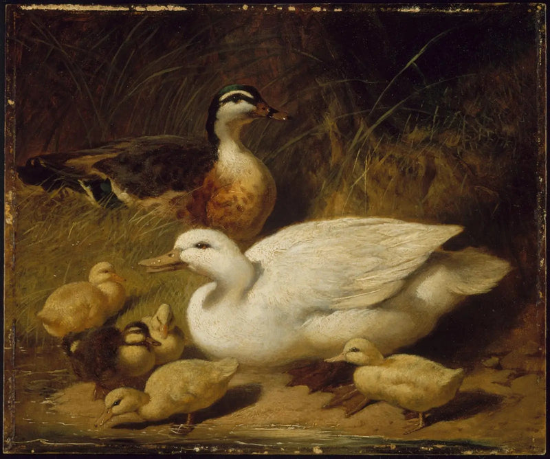 Enten und Entenküken - John Frederick Herring, Sr.
