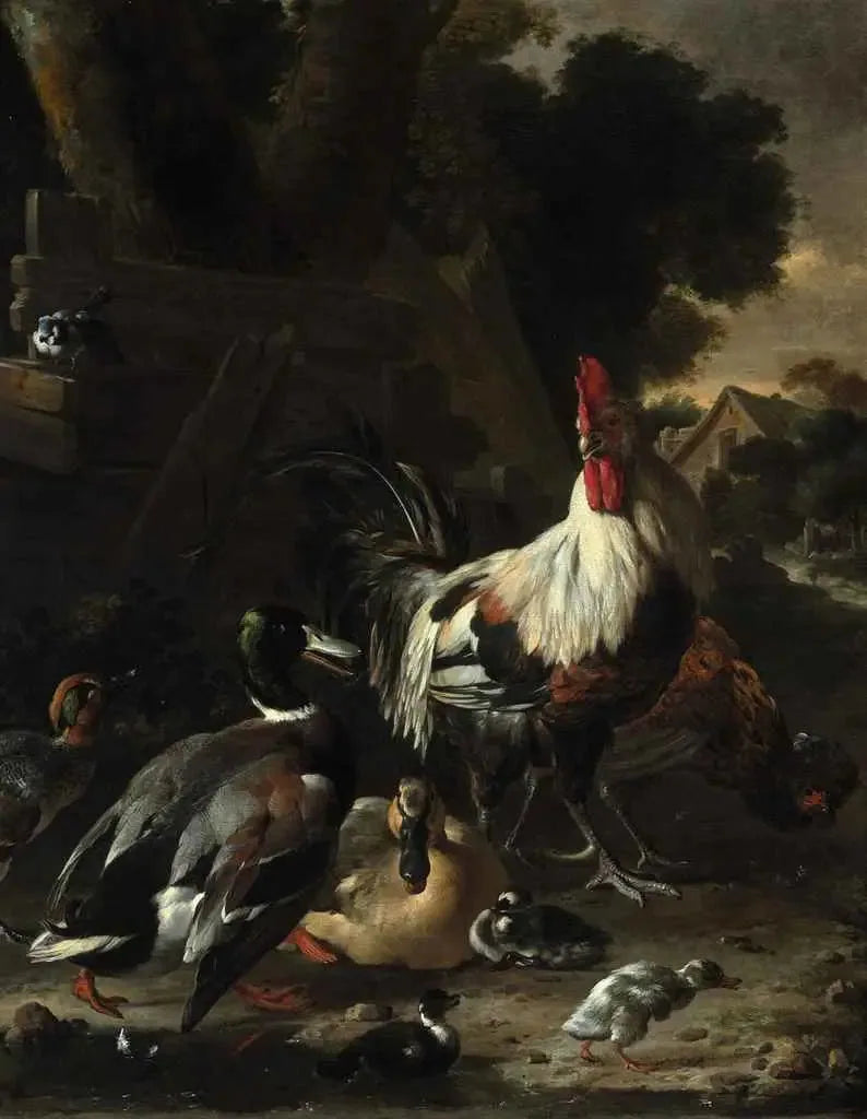 Enten, Hühner und anderes Geflügel im Hof - Melchior de Hondecoeter